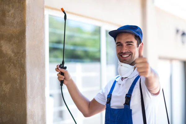 San Juan Wasp Removal