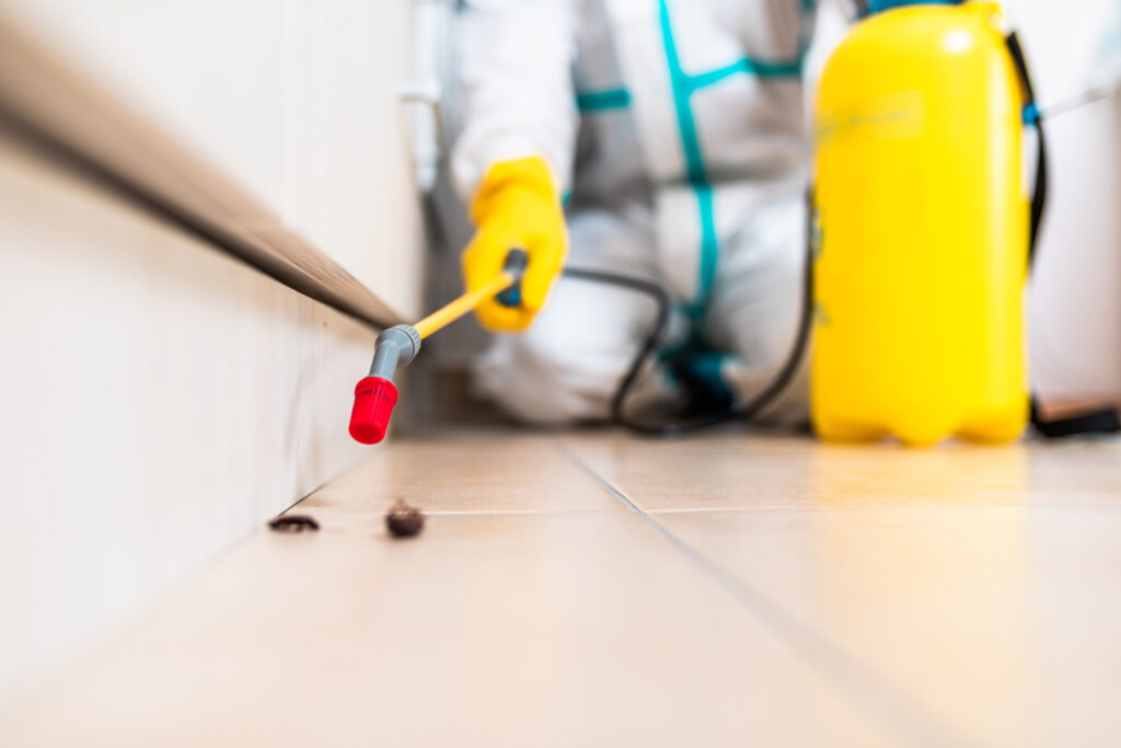 San Juan Cockroach Experts