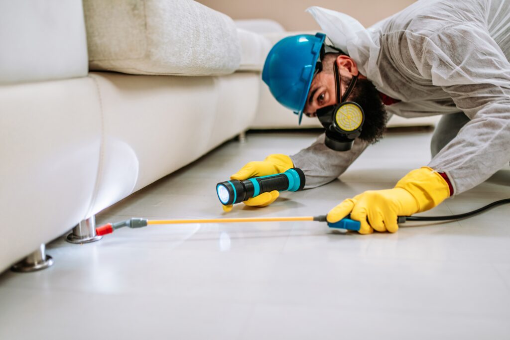 San Juan Termite Control