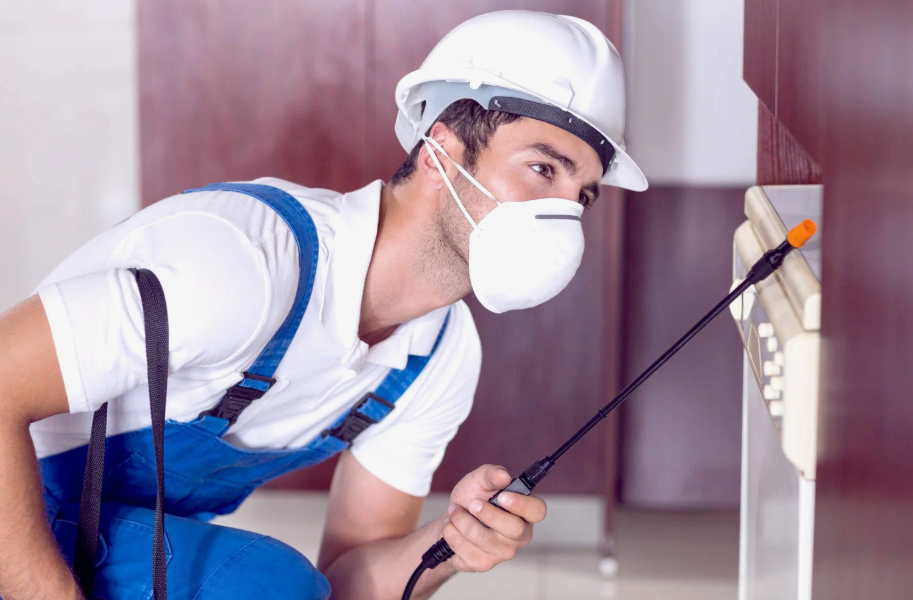 San Juan local pest services