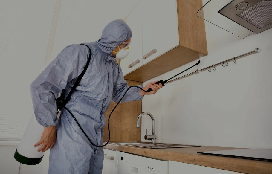 San Juan pest managment